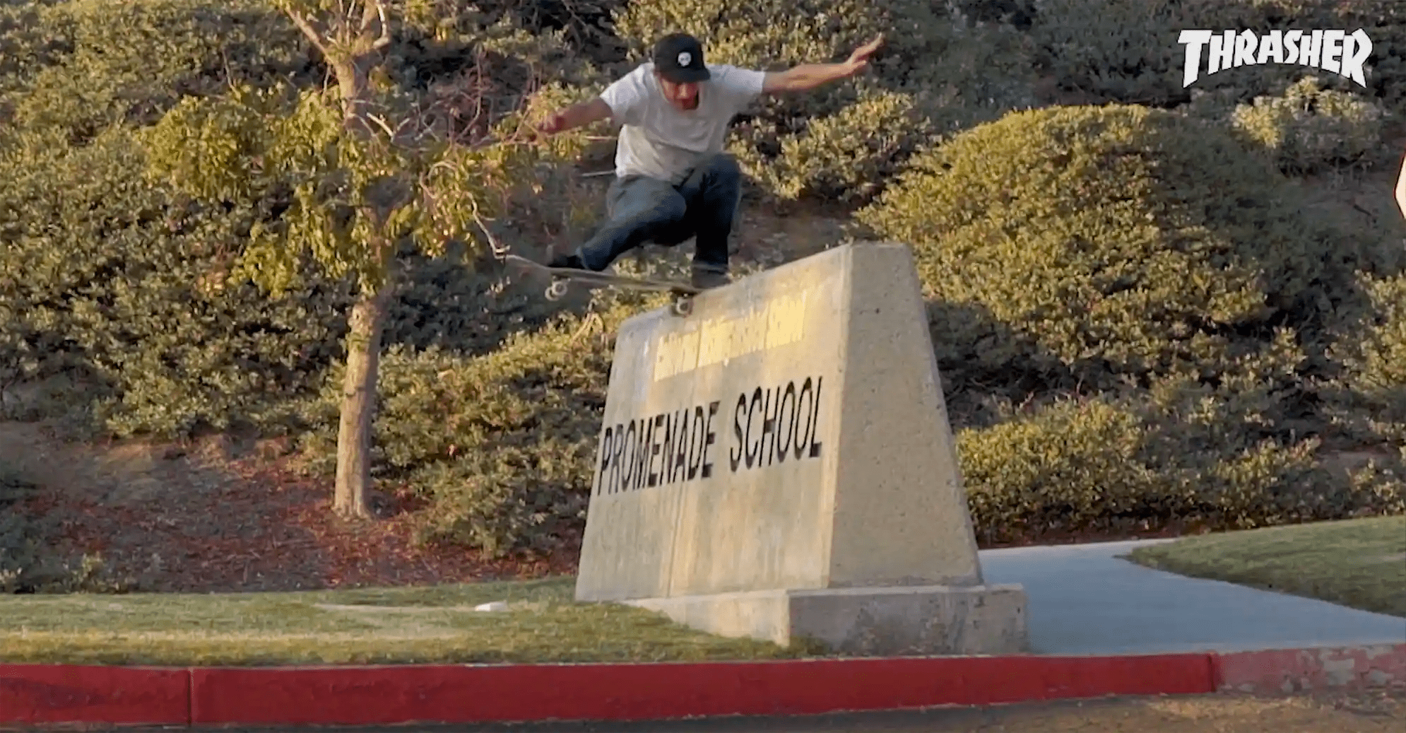 Skateboard News Blog – Getaggt