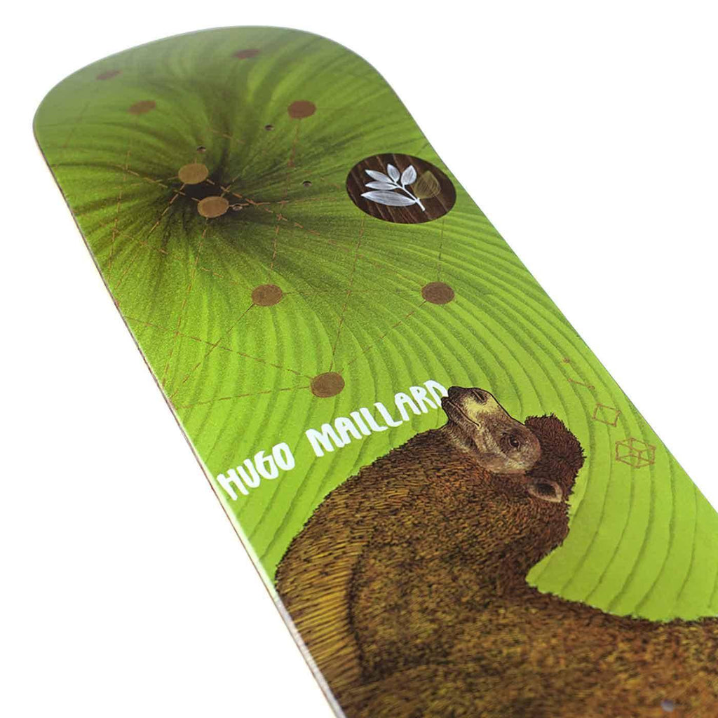 Magenta Maillard Zoo 8.5 Deck  Magenta   