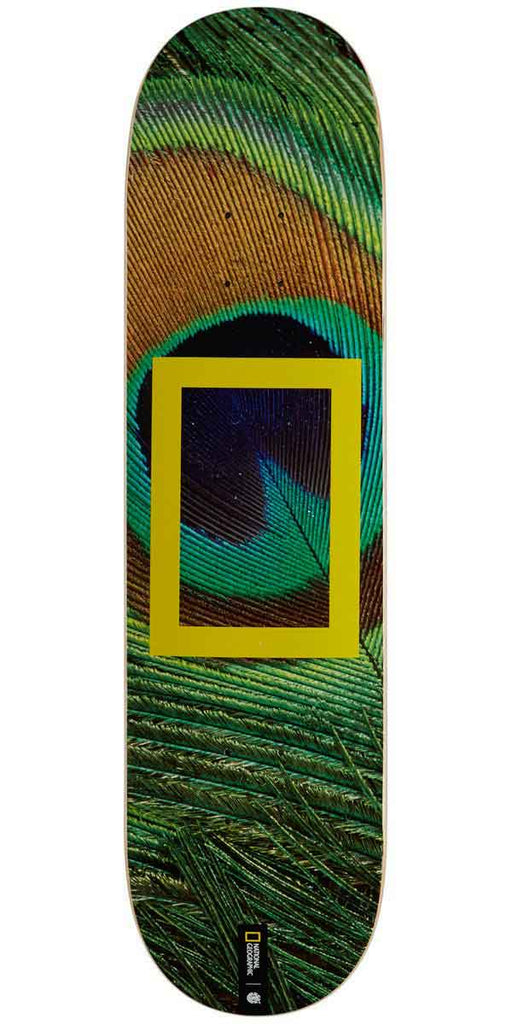 Element X National Geographic Peacock 8.0 Deck  Element   