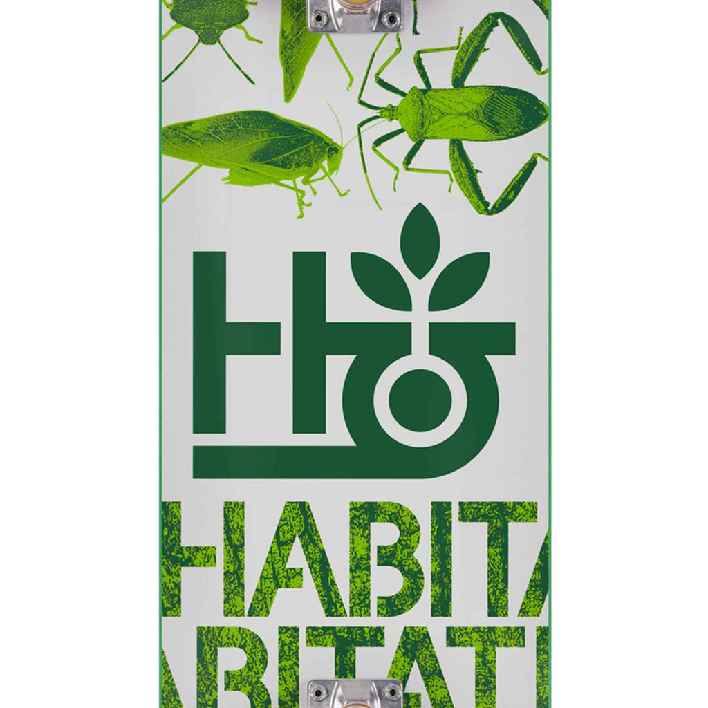 Habitat Insecta 7.75 Complete Skateboard Green  Habitat   